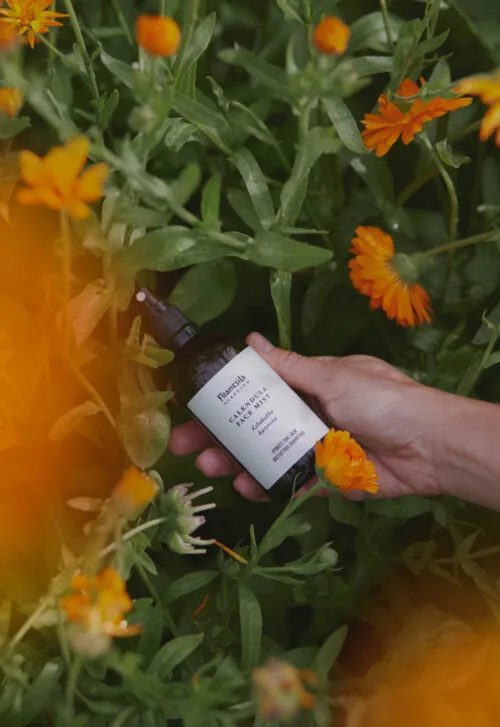 Rose Facial Tonic – Frantsila